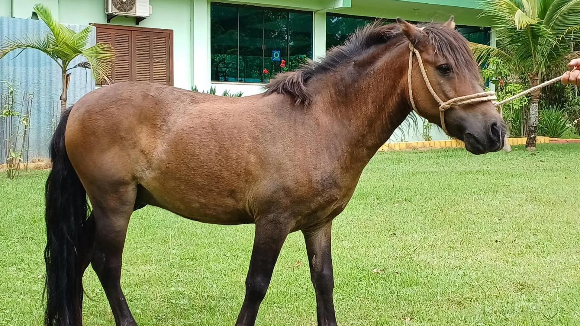 Pousada Chacara Rio Jordao Florianópolis